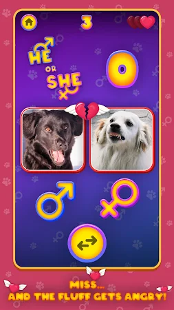 Game screenshot He or She: Cute Pet Quiz Game apk download