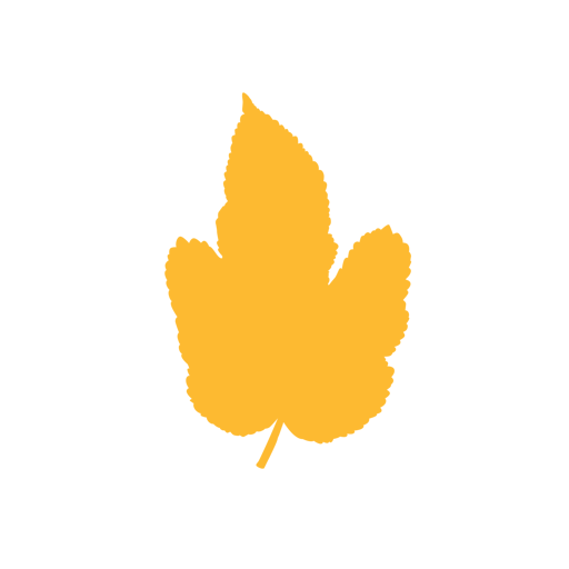 Acacia Church App logo
