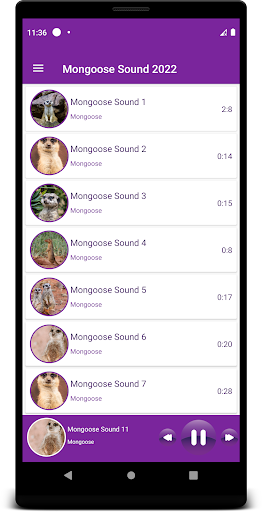 Mongoose Sounds 2022