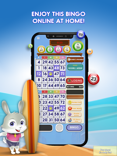 Bingo Pets: Summer bingo game 10