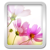 Wallpapers Flower icon
