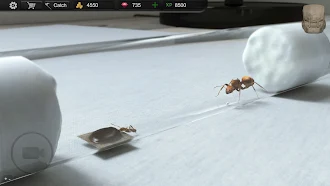 Game screenshot Ant Sim Tycoon hack