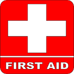 Cover Image of Download First Aid 1.0.1 APK
