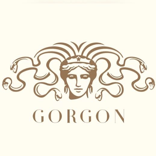 Gorgon Salon for  Android – Latest Version & Features app icon