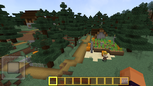 Crazy Craft Block World