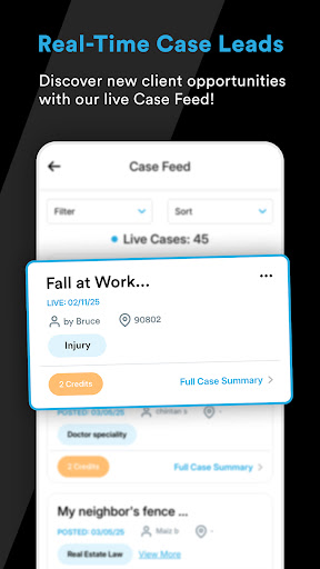 Screenshot of Vikk PRO - Legal AI & Leads