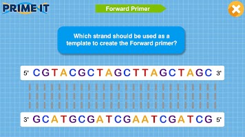 Prime It DNA Game