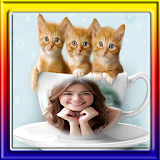 photo frames cat pic frame icon