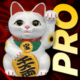 Lucky Cat Live Wallpaper icon