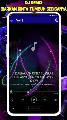 DJ Biarkan Cinta Tumbuhのおすすめ画像4