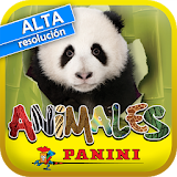 Animales 2013 icon