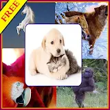 Best Animals HD  Wallpapers icon