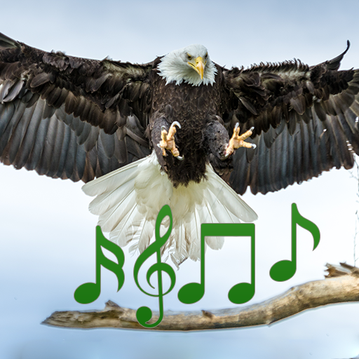 Animal and bird sounds 2.0.5 Icon