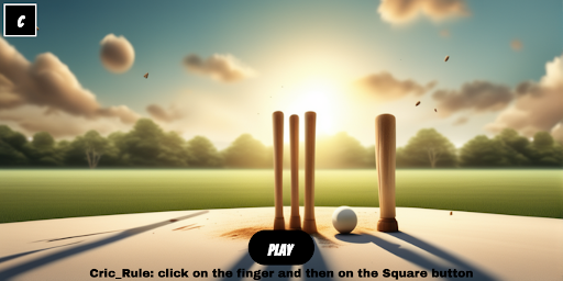 Android application Hand Cricket screenshort
