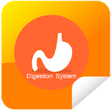 Sistem Pencernaan (Digestion) icon