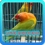 Terapi Lovebird Paud Offline icon
