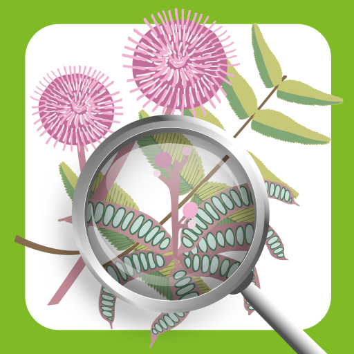 Invasive Species ID Guide logo
