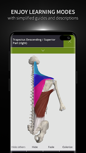 Anatomyka - 3D Anatomy Atlas Apk5
