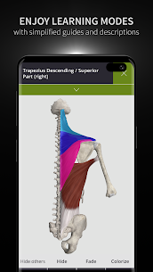 Anatomyka MOD APK- 3D Anatomy Atlas (Unlocked) Download 6