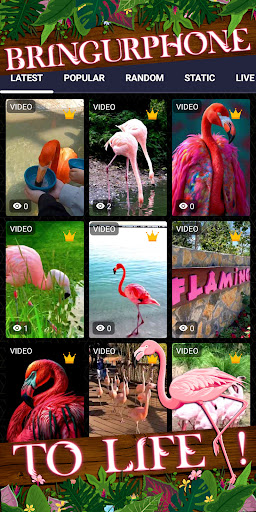 flamingo wallpaper Screen 2