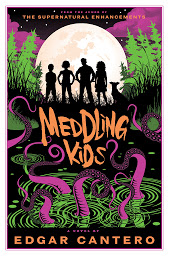 Image de l'icône Meddling Kids: A Novel