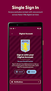 Aston Villa Screenshot