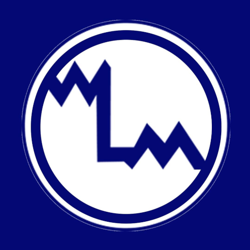 WLM Contabilidade logo