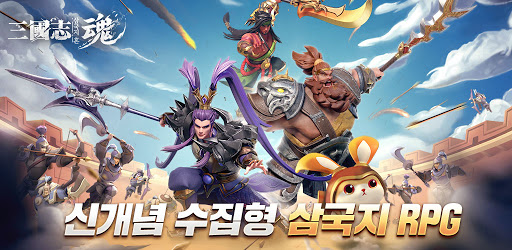 삼국지혼 cover
