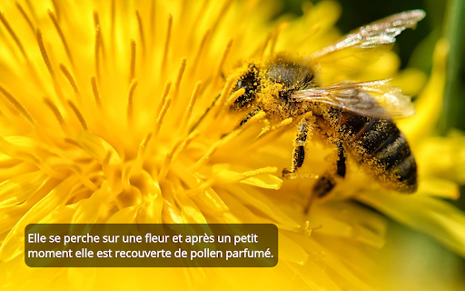 Loloki: livres audio - enfants screenshot 10