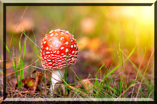 World Puzzles Classic Screen 2