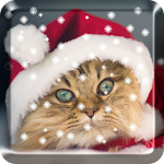 Christmas Cat Live Wallpaper Apk