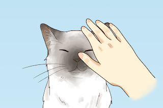 manee the cat - Screenshot 2
