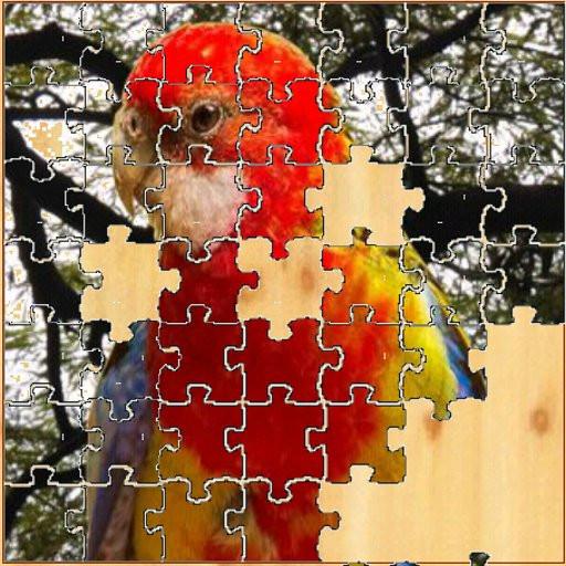 bird puzzle Изтегляне на Windows