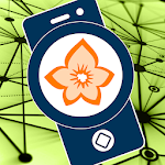 Cover Image of Download Flora Incognita - automated plant identification 2.8.43 APK
