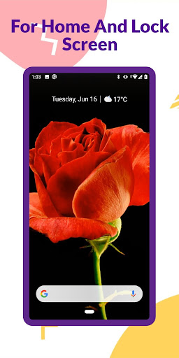 Video Wallpapers Screen 3