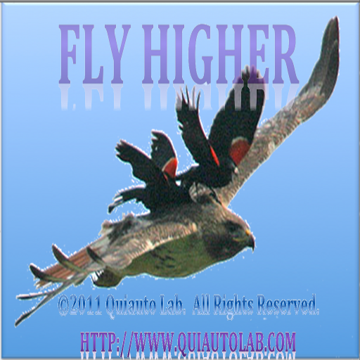 Fly Higher 1.6 Icon
