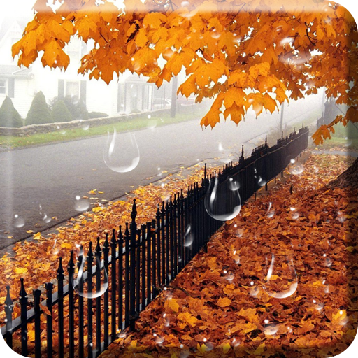 Maple Drops Live Wallpaper logo