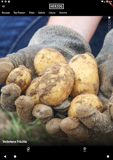 HERZOG Kultur- and Stadtmagazin