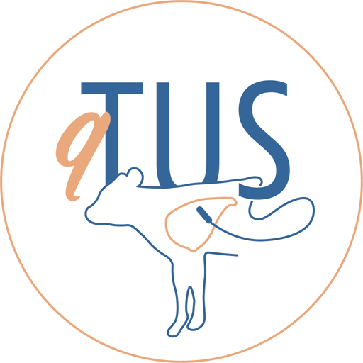 qTUS logo