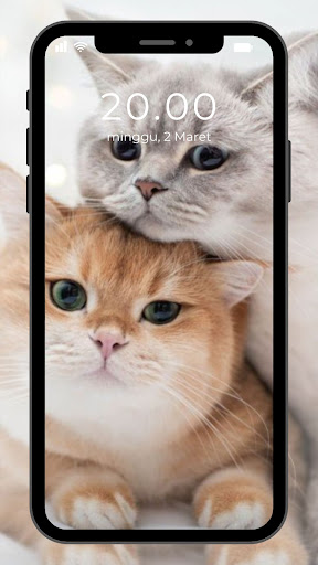 Wallpaper Kucing Lucu Screen 3