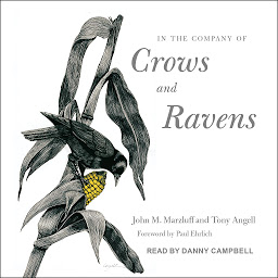 Immagine dell'icona In the Company of Crows and Ravens