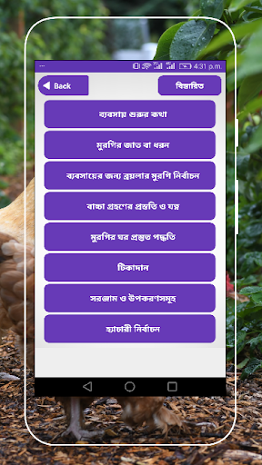 ব্রয়লার মুরগি খামার ব্যবসায়ের বিস্তারিত