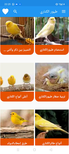 Android application طيور الكناري screenshort