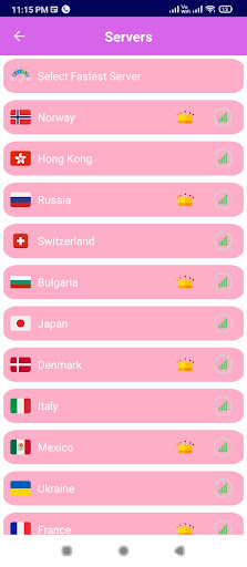 Dev fast secure vpn Screen 2
