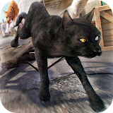 3D Cat Simulator Game For Free icon