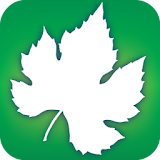 Audubon Trees icon