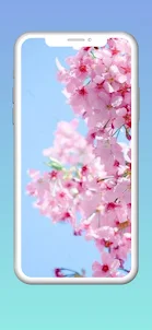 HD Spring wallpapers