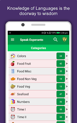 Screenshot of Learn Esperanto Language App