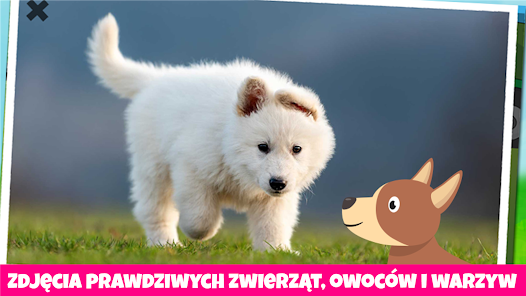 Zrzut ekranu