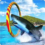 Blue Whale Shark Game 3D icon
